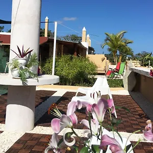 **** Hotel Boutique República Dominicana